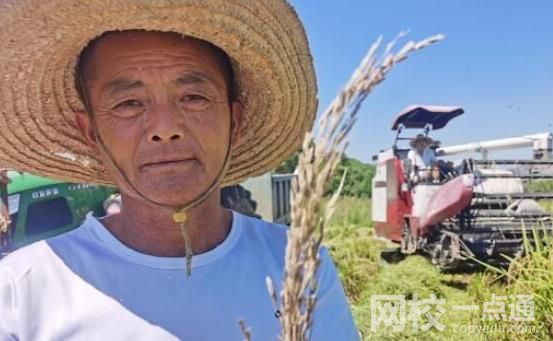 罕见旱灾下的鄱阳湖 鄱阳湖心的落星墩完全裸露