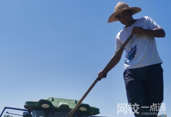 鄱阳湖河床变草原 当地人开车飞驰 出来的草大概有二三十厘高