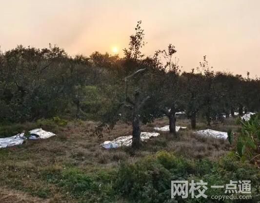 商洛发生7死凶杀案 为什么杀人原因始末详情曝光