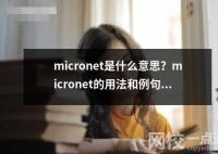 micronet是什么意思？micronet的用法和例句。