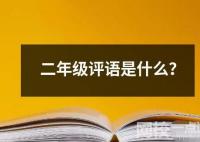 二年级评语是什么？