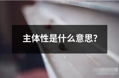 主体性是什么意思？