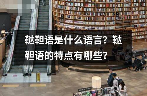 鞑靼语是什么语言？鞑靼语的特点有哪些？