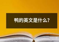 鸭的英文是什么？