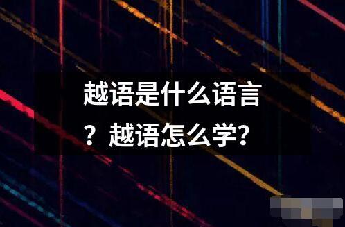 越语是什么语言？越语怎么学？