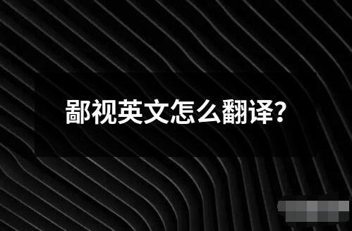 鄙视英文怎么翻译？