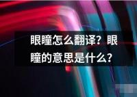 眼瞳怎么翻译？眼瞳的意思是什么？