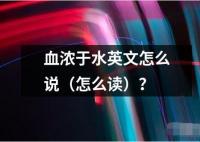 血浓于水英文怎么说（怎么读）？