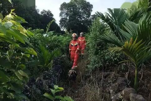 两岁女童失踪7小时 在深山中找到 实在太惊险了