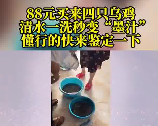 88元网购的4只乌鸡洗出一盆黑水 被眼前的情景吓住了